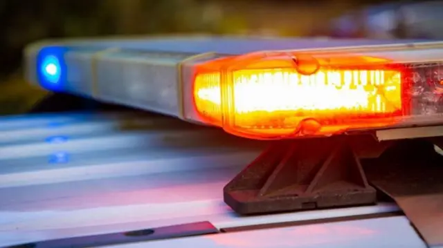 અમેરિકા : મિશિગનના સુપરમાર્કેટમાં છૂરાબાજીની ઘટના, 11 ઘાયલ – ન્યૂઝ અપડેટ