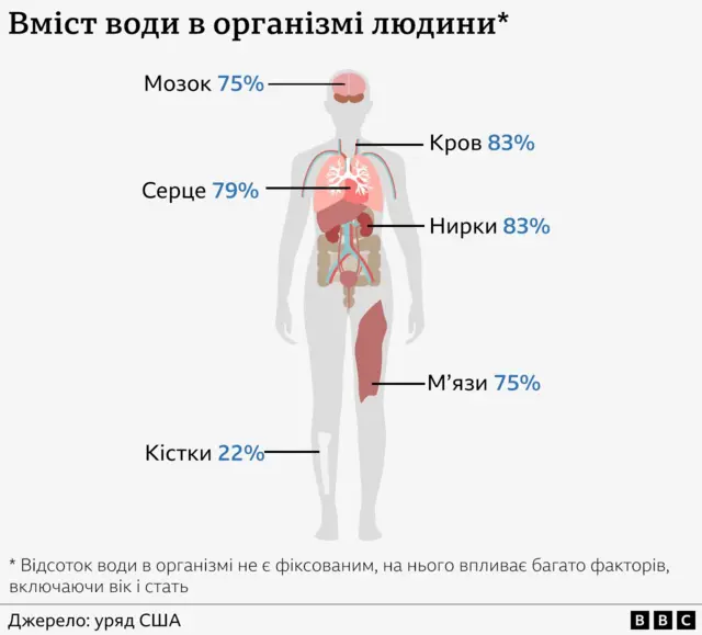 Вміст води в організмі людини