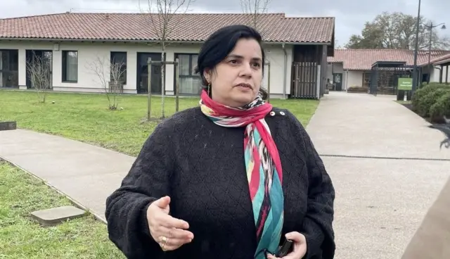 إيلين أمييفا