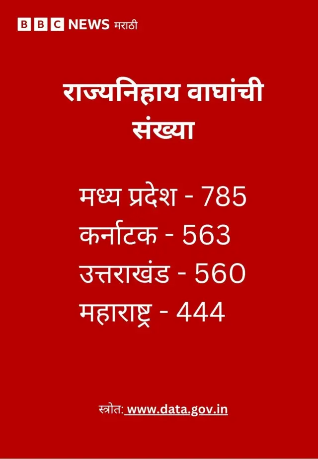 वाघांचा हल्ला
