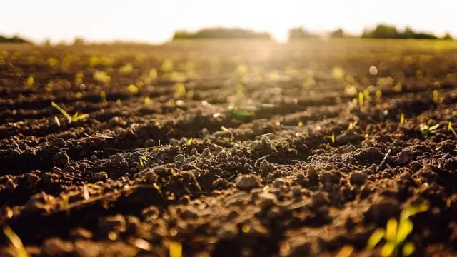 Terra de cultivo deteriorada