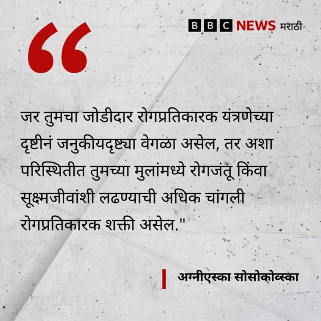 ग्राफिक्स
