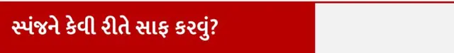 બ્રશનો ઉપયોગ સ્પંજ કરતાં ઓછો હાનિકારક? રસોડા કિચનના સ્પંજ બ્રશમાં બૅક્ટેરિયા, કિચનની સફાઈ ટીપ્સ, કિચનનું સ્પંજ ક્યારે બદલવું જોઈએ કેવી રીતે સાફ રાખવું જોઈએ, બીબીસી ગુજરાતી સાથે સમજો, બીબીસી ન્યૂઝ ગુજરાતી 