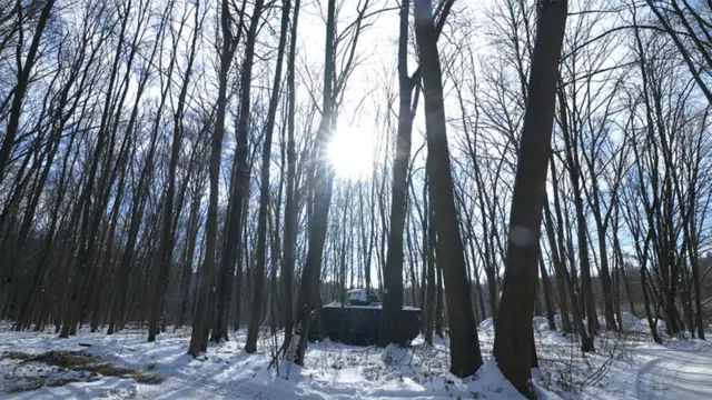 Um tanque entre árvores em uma floresta coberta de neve em Sumy