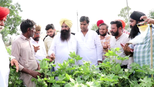 ਖੇਤੀਬਾੜੀ ਮੰਤਰੀ ਗੁਰਮੀਤ ਸਿੰਘ ਖੁੱਡੀਆਂ 