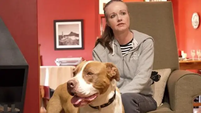 Lins Rautenbach, Shirikisho la Pitbull la Afrika Kusini, linasema tabia ya mbwa inawaathiri wamiliki wake