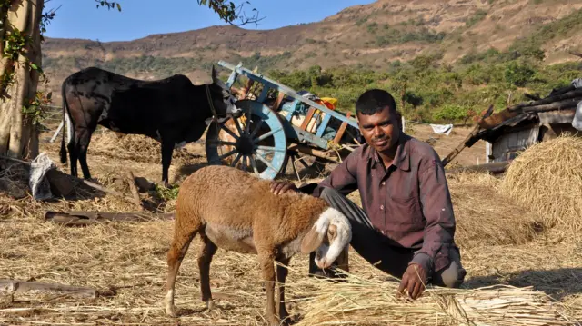 प्रातिनिधिक फोटो