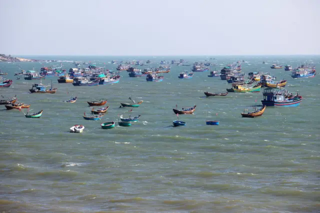 இந்திய பெருங்கடல்: மீன் வளம் முற்றிலும் அழியும் ஆபத்து - தமிழக மீனவர்கள் எதிர்காலம் என்ன ஆகும்?