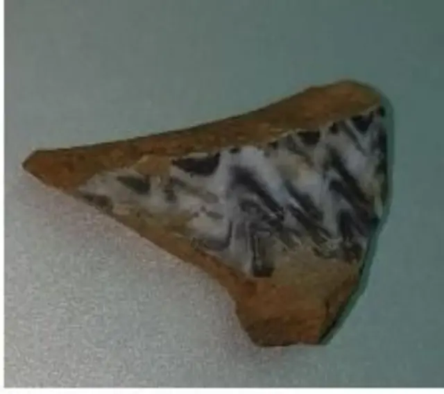 ધોળાવીરા કચ્છ અવશેષો 