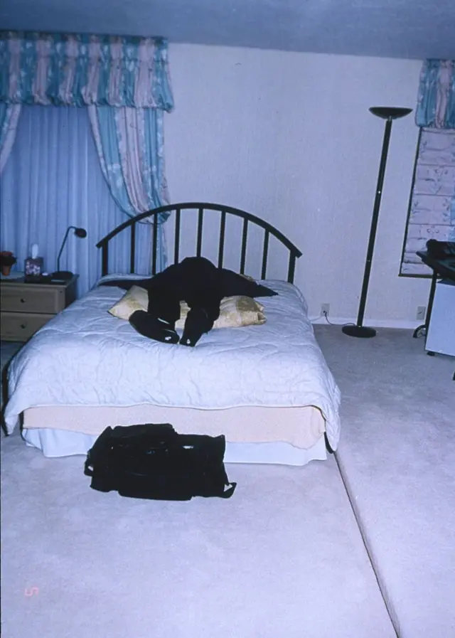 اجتماعی خود کشی کرنے والے ہیونز گیٹ فرقے کے اراکین کی لاشیں حویلی / گھر میں مختلف جگہوں سے ملیں 