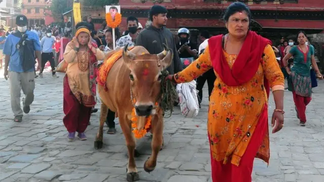 गाईजात्रा