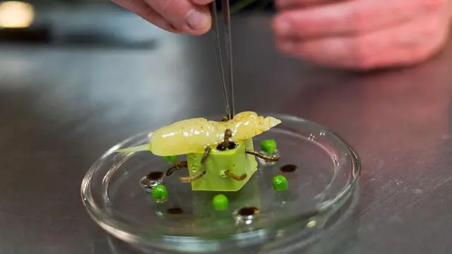 چطور خوردن حشرات به نظریه‌ توطئه تبدیل شد؟