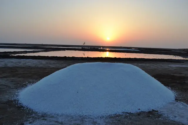 મીઠાનાં અગરિયાઓની સમસ્યા