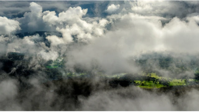 Hurrii gaarreen waqabatoo Arsii-Baalee