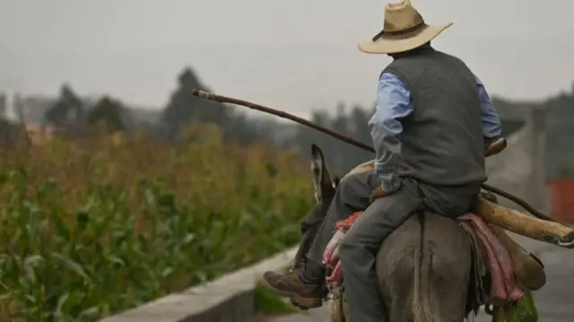 Un homme monté sur un âne.