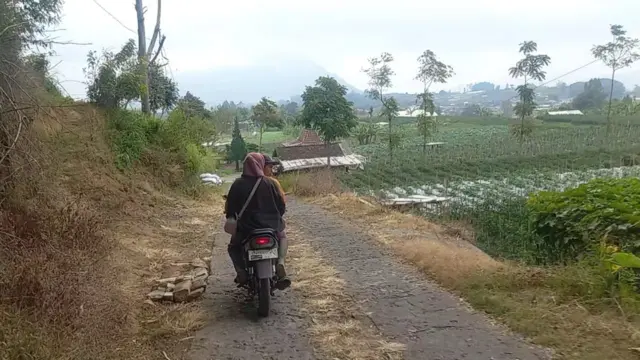 Pasangan suami istri yang mengendarai motor bebek, menuju ladang sayur di Desa Tejosari