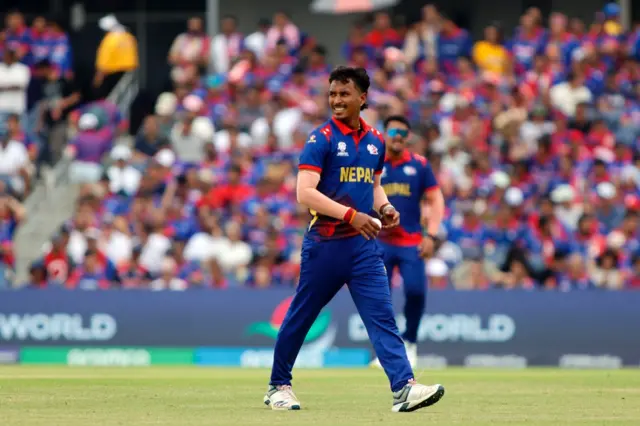 क्रिकेट 