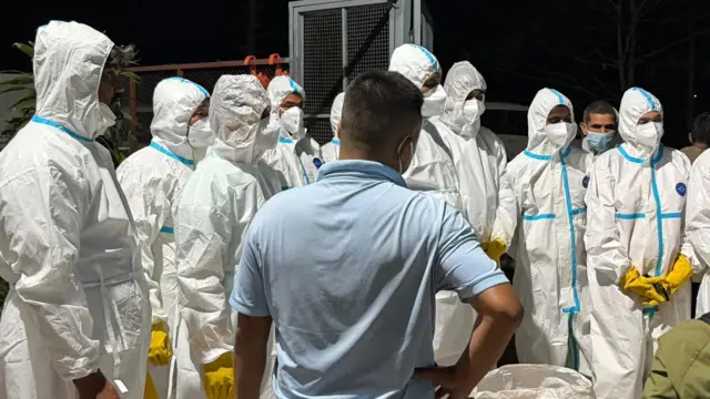 पूर्वी नेपालमा बर्ड फ्लू सङ्क्रमण फैलिएको अवस्थामा सुरक्षा पोसाक 'पीपीई' लगाएका मानिसहरू