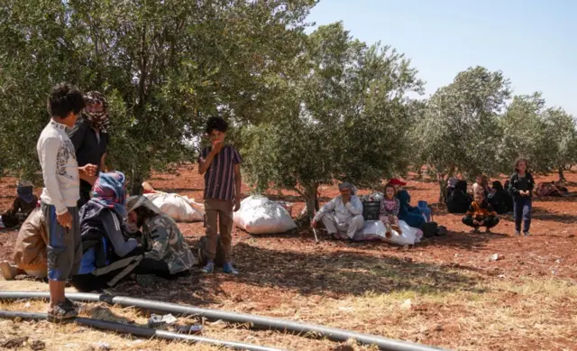 Bedevi aileler zeytin ağaçları altına sığınmışlar, eşyaları her yere saçılmış