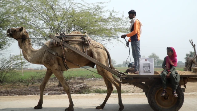 औरत, लड़की, digital trashbin