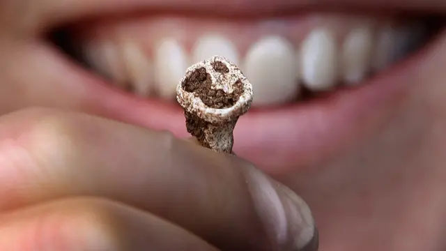 La doctora Hannah Cobb de la Universidad de Manchester sostiene un diente de vikingo durante la presentación de artefactos descubiertos en el primer cementerio de barcos vikingos completamente intacto, el 18 de octubre de 2011, en Edimburgo, Escocia.