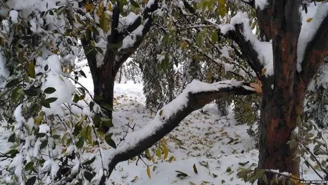 कश्मीर में बर्फ़बारी