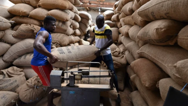 energi terbarukan, perubahan iklim, afrika