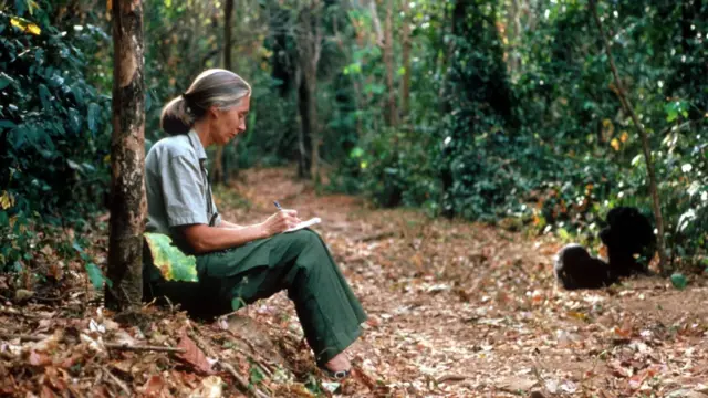 Jane Goodall