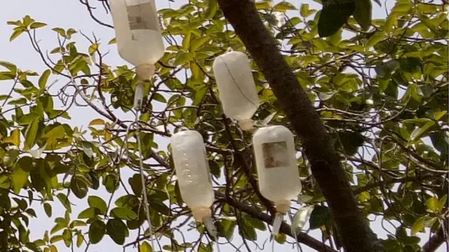 పిల్లలమర్రి