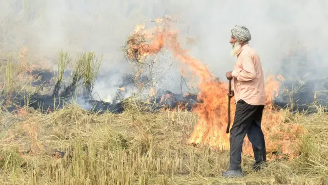 पराली जलाता किसान