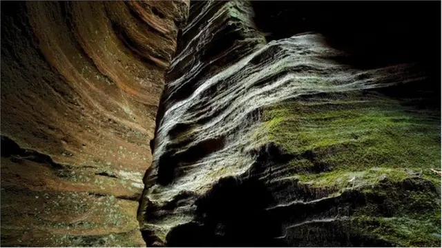 وولمائی نیشنل پارک ایسا خطہ ہے جس میں بے شمار انواع پر ابھی تک تحقیق نہیں ہوئی