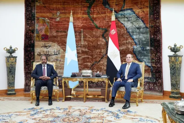 Le président égyptien Abdul Fattah al-Sisi (à droite) accueille le président somalien Hassan Sheikh Mohamud (à gauche) au Caire, en Égypte, en janvier 2024.
