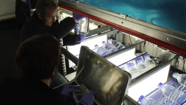 "Ноосфера" відкриває великі можливості для українських вчених, щоб "повернутися" у Світовий океан