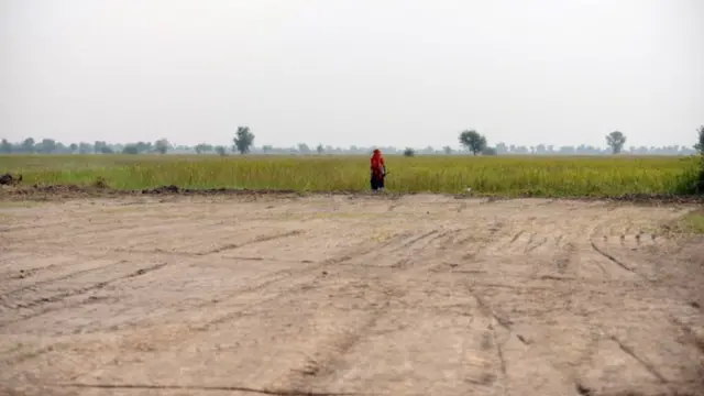 પ્રતીકાત્મક તસવીર