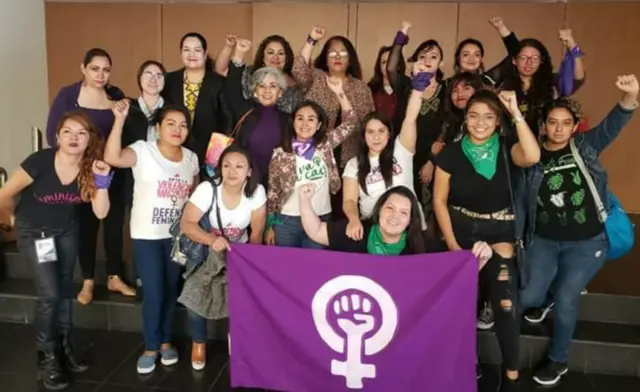 ২০১১ সালে আইনটি পুয়েবলায় কার্যকর হয় এবং বর্তমানে মেক্সিকোর ৩২টির মধ্যে ১১টি রাজ্যেই এর প্রণয়ন হয়েছে