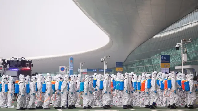 Комиссия сочла, что глобальное ЧП надо было объявлять на неделю раньше - тогда был шанс остановить распространение вируса