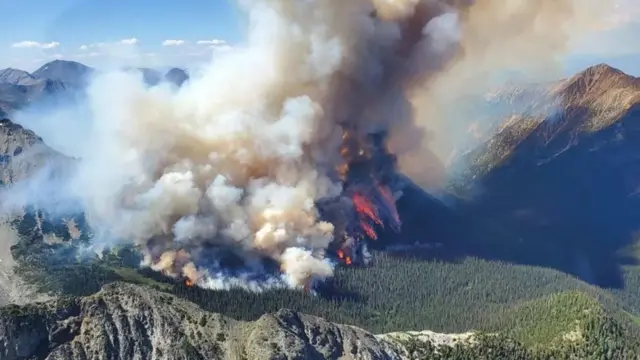캐나다에선 전국 곳곳에서 발생한 극단적인 산불들로 인해, 불에 탄 국토 면적이 역사상 최대치를 기록할 정도다