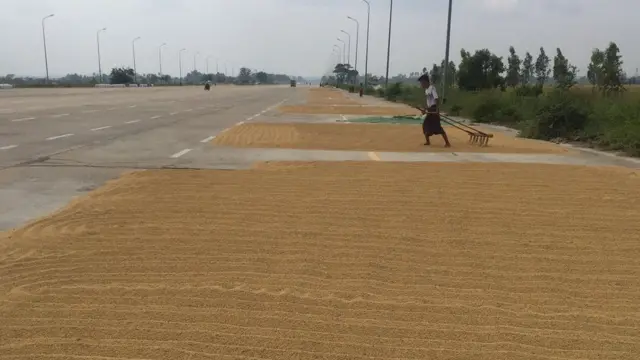 ရိတ်သိမ်းပြီးစ စပါးတွေကို နေပြည်တော်အနီး ကားလမ်းပေါ်မှာ နေလှန်းနေကြတဲ့ လယ်သမားတွေရဲ့ လုပ်ငန်းခွင်မြင်ကွင်း