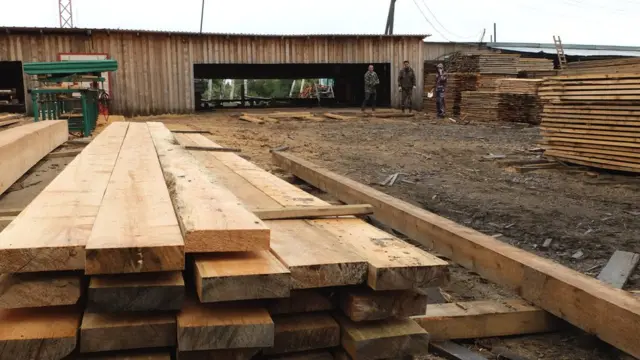 Лесопилка в Тугуре