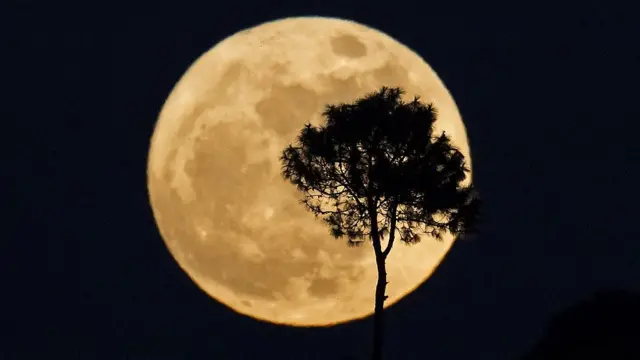 સુપરમૂનની તસવીર