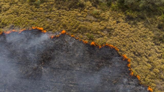 incendio forestal en Brasil
