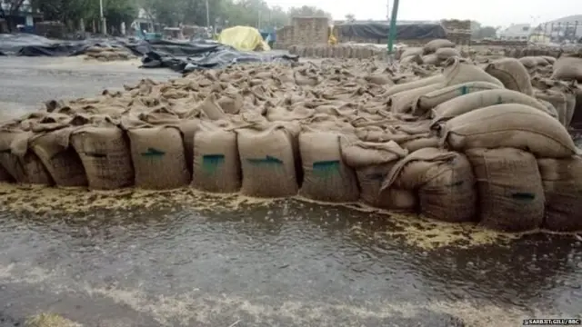 लुधियाना शहर के जागरों गांव की मंडी