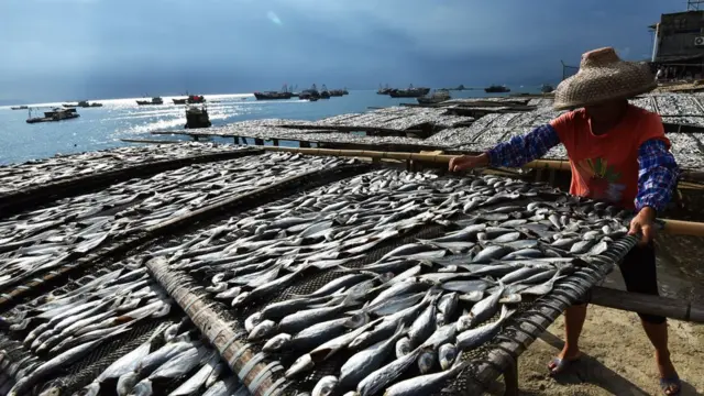 深圳一個曬漁場