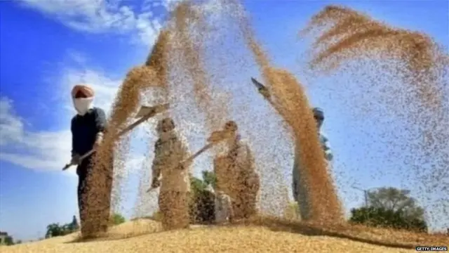 ਭਾਰਤ ਸਰਕਾਰ ਦਾ ਖੇਤੀ ਵਿਭਾਗ, ਖੇਤੀ ਲਾਗਤ ਅਤੇ ਮੁੱਲ ਕਮਿਸ਼ਨ ਦੀਆਂ ਸਿਫ਼ਾਰਸ਼ਾਂ ਦੇ ਆਧਾਰ 'ਤੇ ਐਮਐਸਪੀ ਤੈਅ ਕੀਤੀ ਜਾਂਦੀ ਹੈ