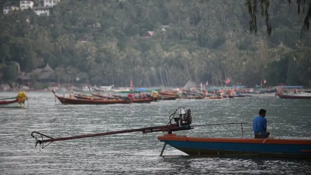 เกาะเต่า