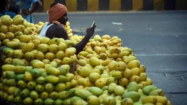 आंबे, फळं