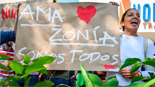 一些律師認為，享有健康環境的人權使得保護亞馬遜雨林等生態系統變得更加容易。