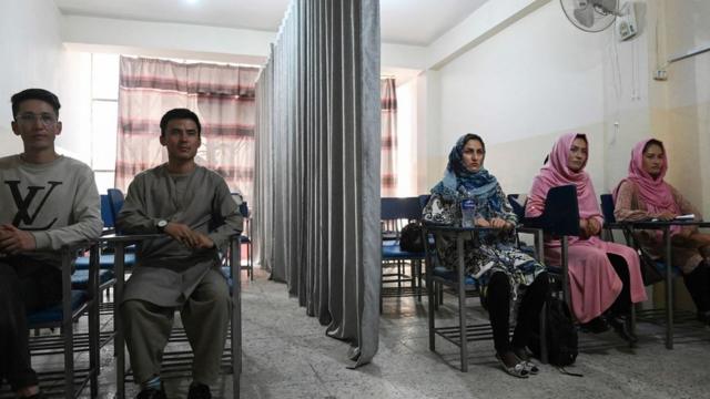 Une classe divisée par un rideau séparant les hommes et les femmes dans une université privée de Kaboul.