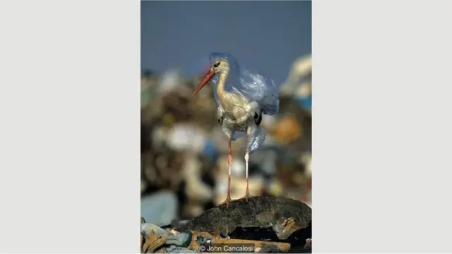 leylək plastik torbalar