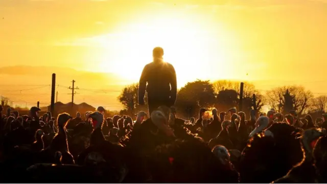 Hukuk alanındaki işlerin yüzde 97'si evden yapılabilirken bu oran finansta yüzde 88'e; ulaşımda yüzde 3'e; çiftçilik, balıkçılık ve ormancılık sektöründe yüzde 1'e düşüyor